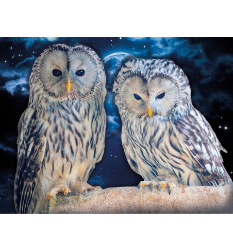 3D Diamant Pixel Bild Eulen