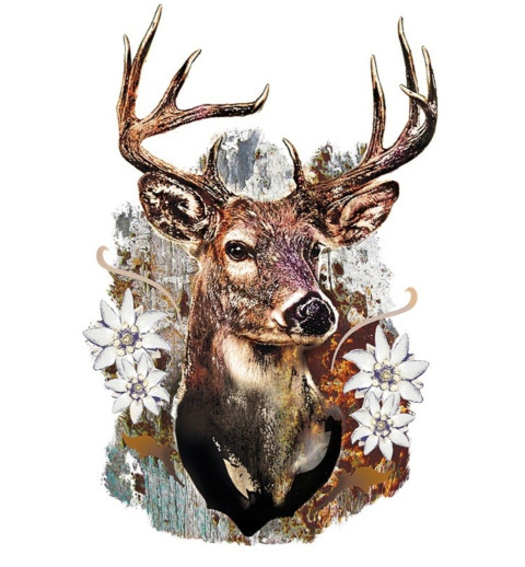 Bügel Bild Hirsch