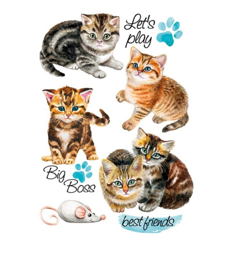 Bügel Bild Katzen