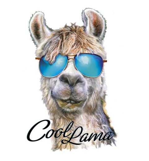 Bügel Bild Lama