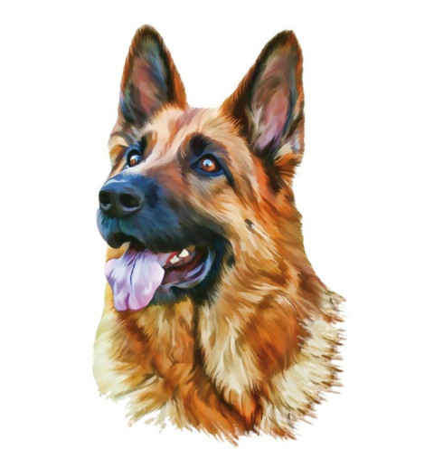 Bügel Bild Schäferhund