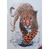 Bügel Bild Leopard