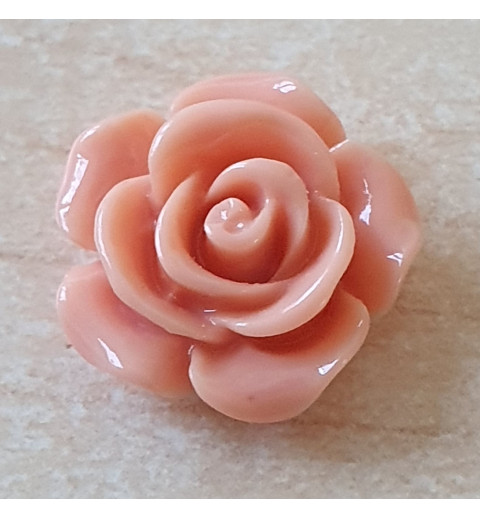 Harz Rose lachs