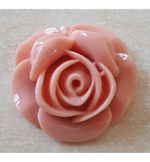 Harz Rose lachs