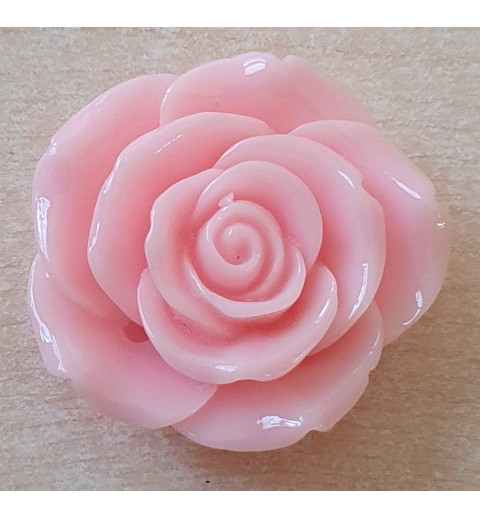 Harz Rose rosa