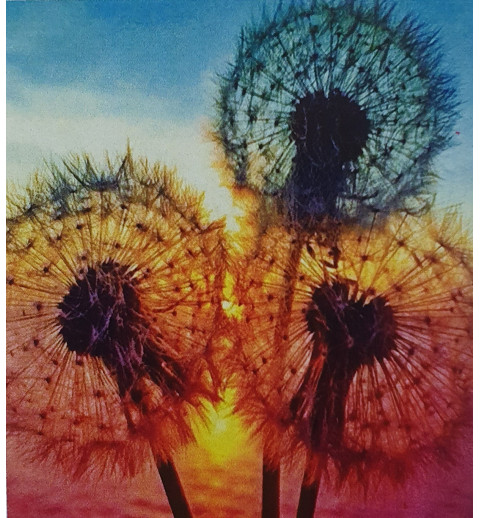5D Diamant Pixel Bild Pusteblume