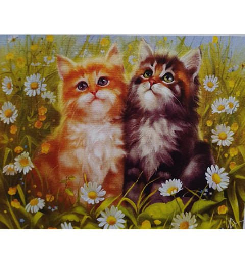 5D Diamant Pixel Bild Katzen