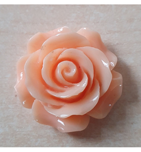 Harz Rose lachs