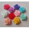 Harz Rose rot