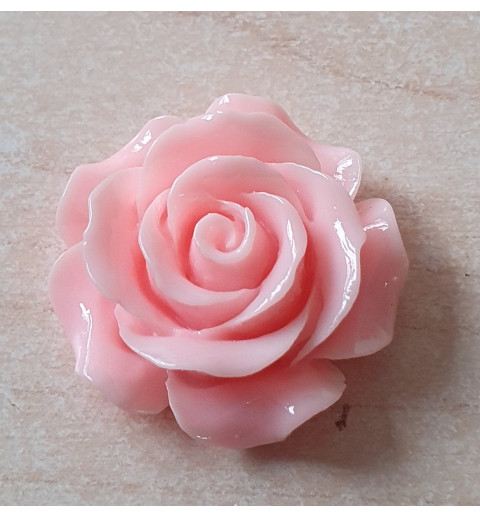 Harz Rose rosa