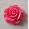 Harz Rose pink