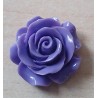 Harz Rose violette