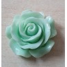 Harz Rose mint