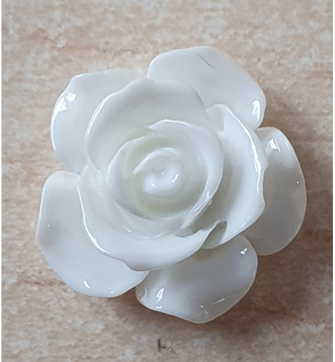 Harz Rose weiss