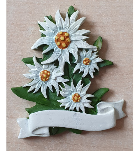 Edelweiss Magnet