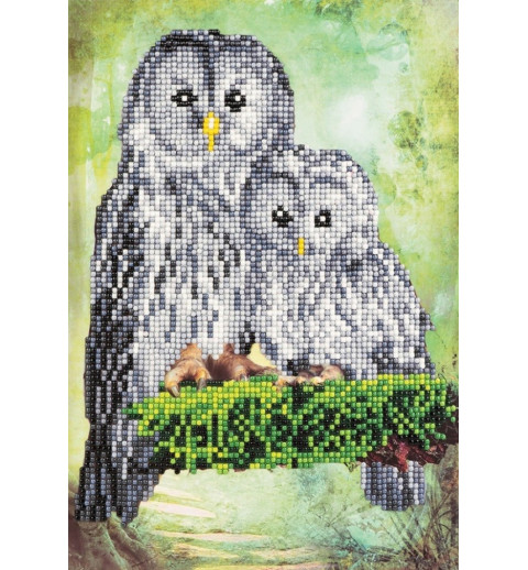 3D Diamant Pixel Karte Eulen