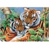 5D Diamant Pixel Bild Tiger