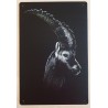 Metall Schild Steinbock