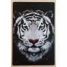 Metall Schild Tiger