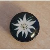 Druckknopf Edelweiss schwarz
