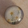 Druckknopf Edelweiss weiss