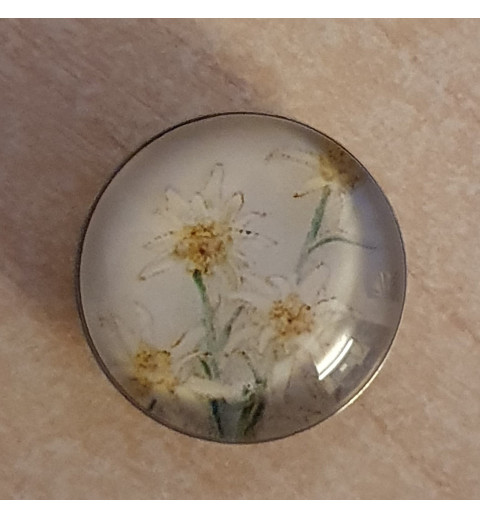 Druckknopf Edelweiss weiss