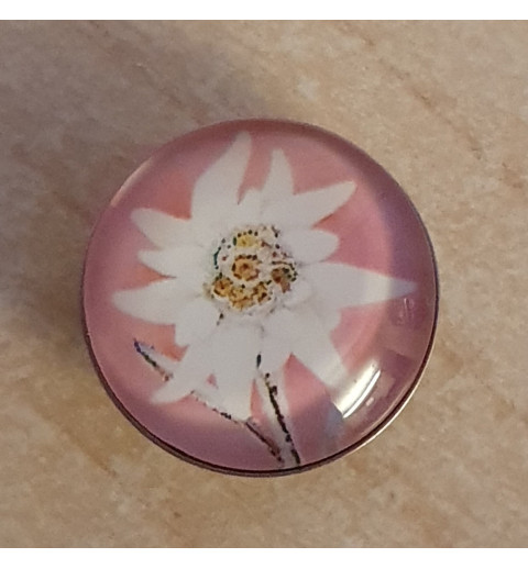 Druckknopf Edelweiss rosa