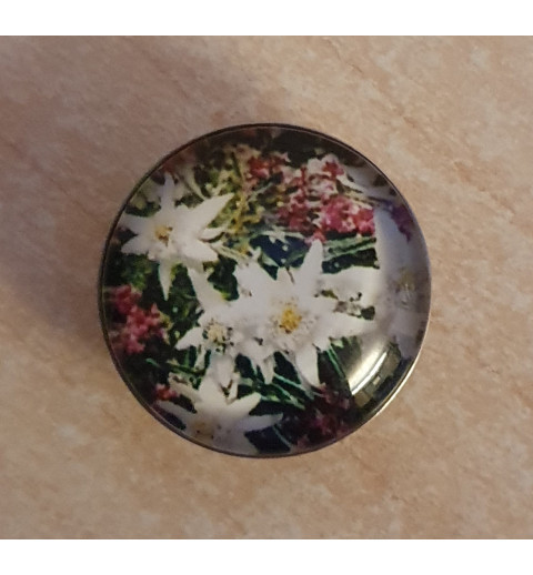 Druckknopf Edelweiss bunt