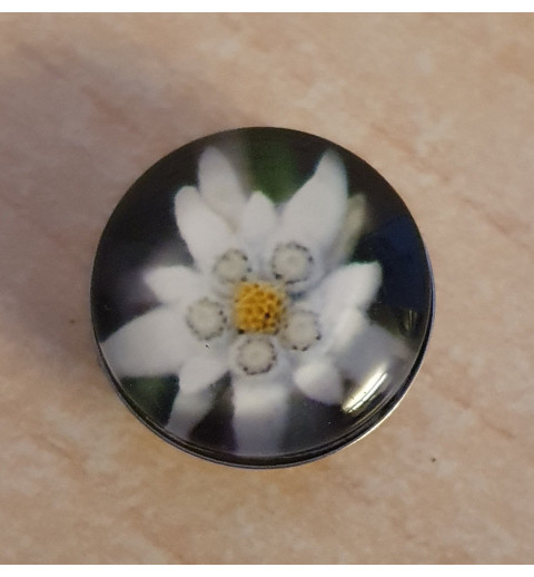 Druckknopf Edelweiss schwarz