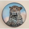 Druckknopf Leopard