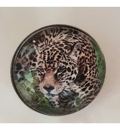 Druckknopf Leopard