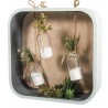 Holz Tray