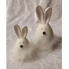 Kaninchen mit Federn weiss 1