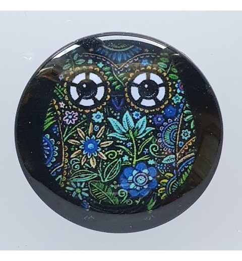 Cabochon Eule grün/blau