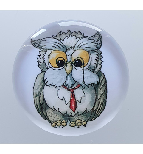 Cabochon Eule mit Brille