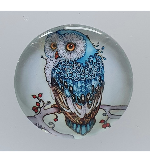 Cabochon Eule türkis