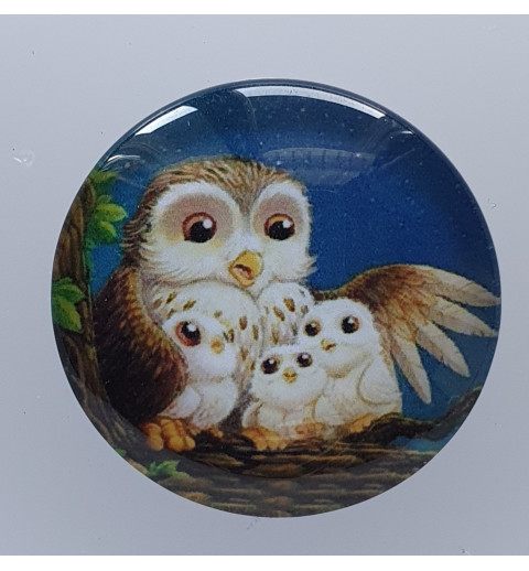Cabochon Eulen Familie