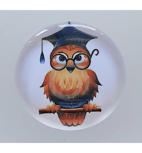 Cabochon Eulen Student