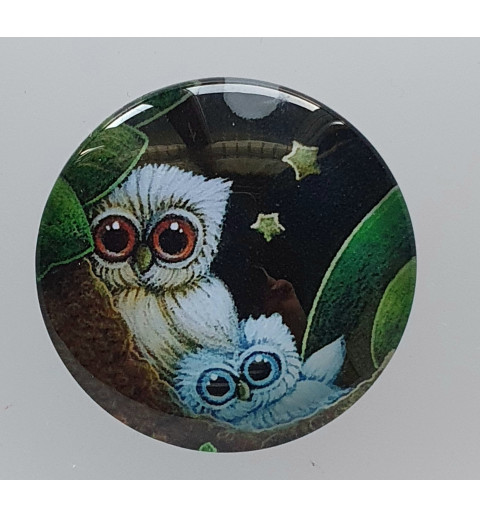 Cabochon zwei Eulen