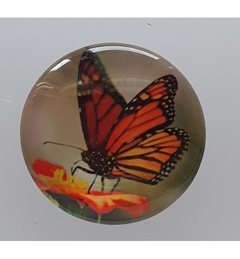 Cabochon Schmetterling orange
