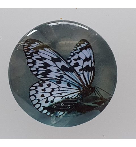 Cabochon Schmetterling blau