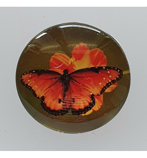 Cabochon Schmetterling orange