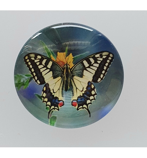 Cabochon Schmetterling blau