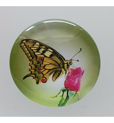Cabochon Schmetterling grün