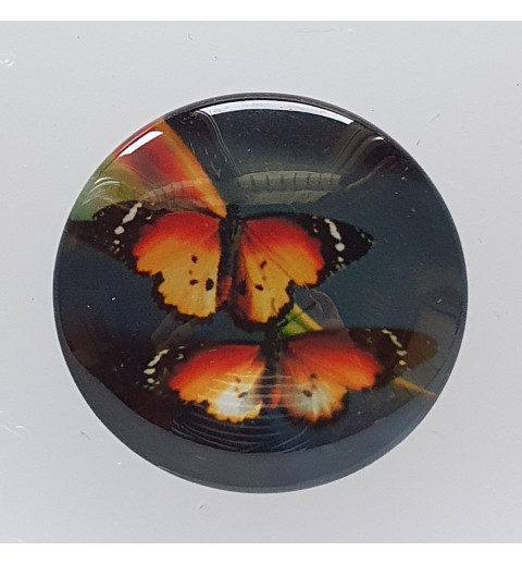Cabochon Schmetterling orange