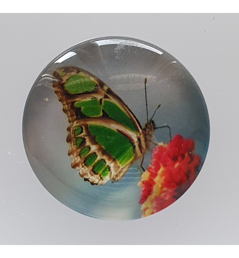 Cabochon Schmetterling grün