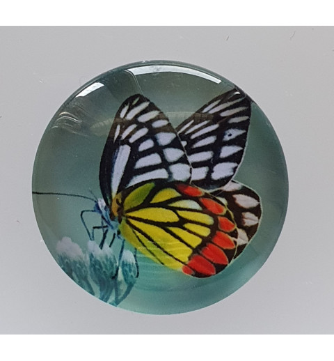 Cabochon Schmetterling gelb