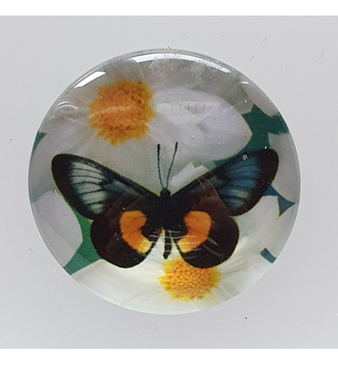 Cabochon Schmetterling orange