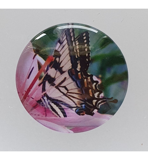 Cabochon Schmetterling lila