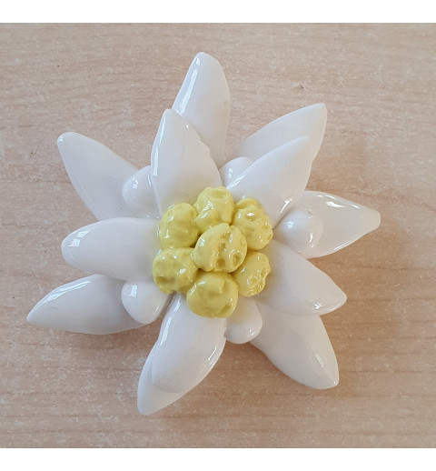 Porzellan Edelweiss
